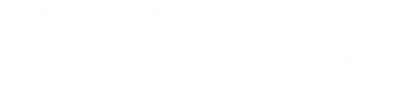 Leonisa Post Surgical Compression Garments and Compression Shapewear Logo